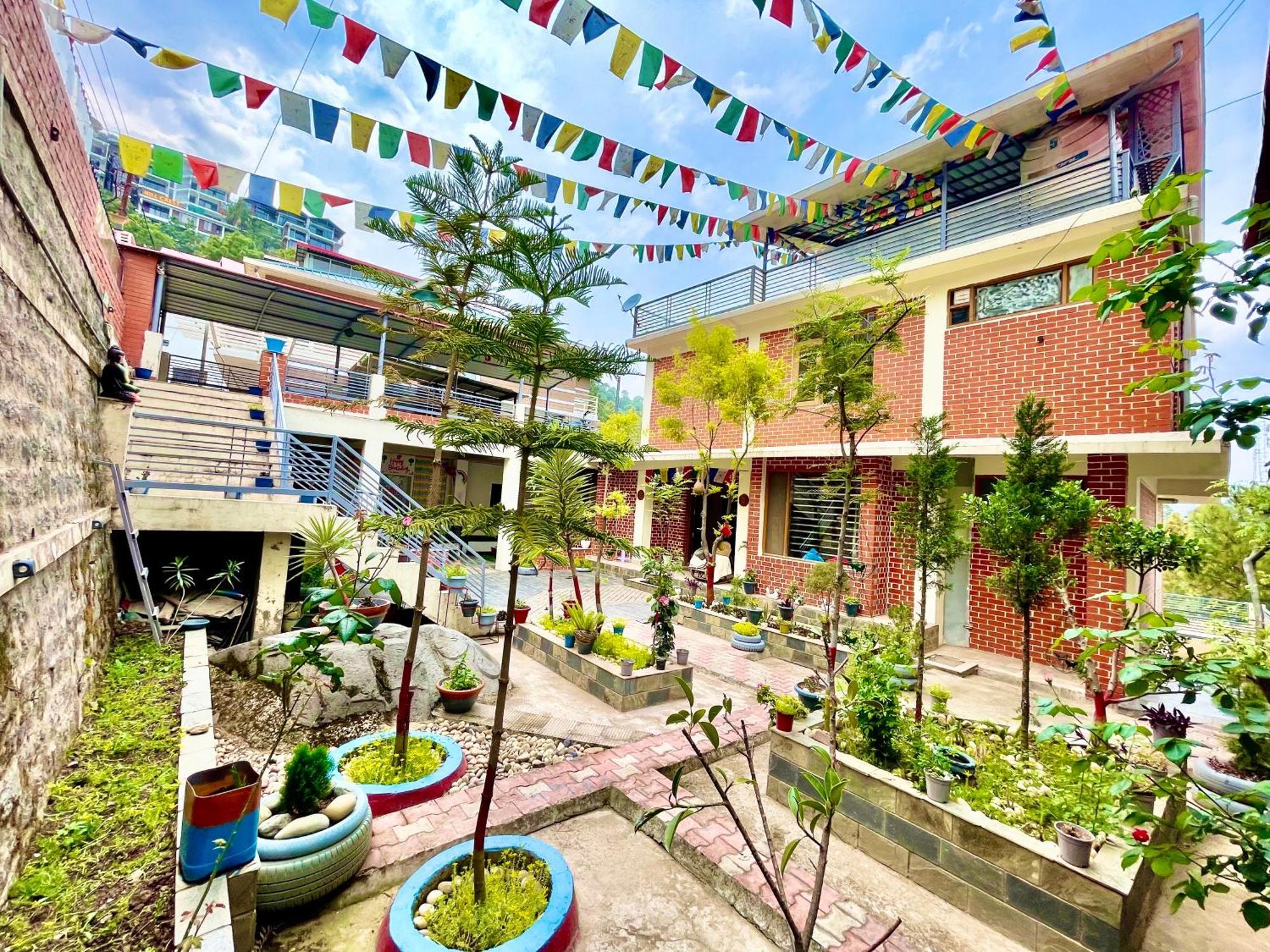 The Auriga 3Bhk Fully Entair Villa With Bonfire In Kasauli I Pvt Stay I Open Air Terrace I Kitchen Livingroom I Lawn Bonfire I Gaming Zone Exterior photo